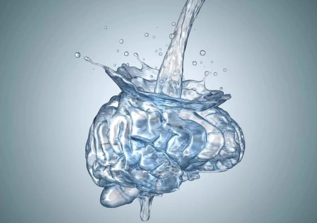 вплив води на мозок людини
