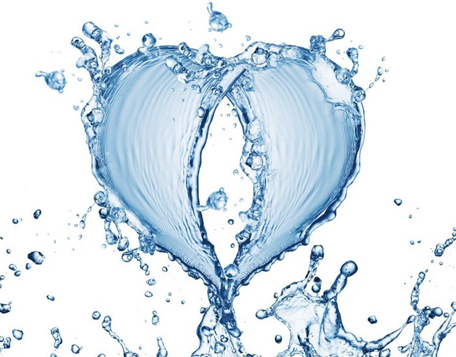 вплив води на серце